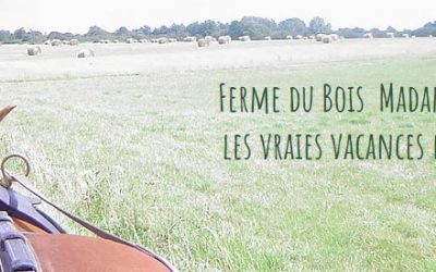 Protégé : Sortie calèche 2021 – Foyer de Vie (juin 2021)
