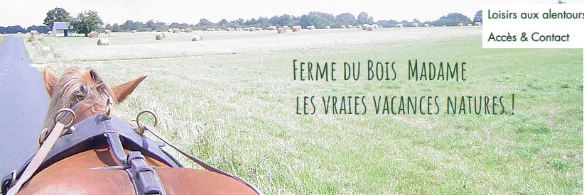 Protégé : Sortie calèche 2021 – Foyer de Vie (juin 2021)